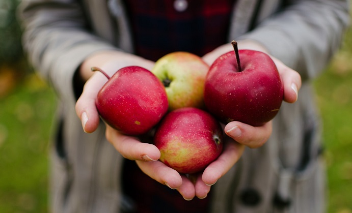 Is Apple Cider Vinegar the Answer to Good Health?